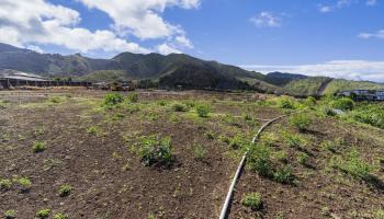 117 Kiha Pl Lot 43 Wailuku, Hi vacant land for sale - photo 5 of 18