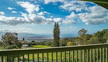 1173  Kamehameiki Rd , Kula/Ulupalakua/Kanaio home - photo 3 of 10