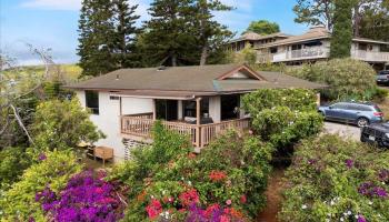 119  Ka Dr Kula Kai, Kula/Ulupalakua/Kanaio home - photo 2 of 45