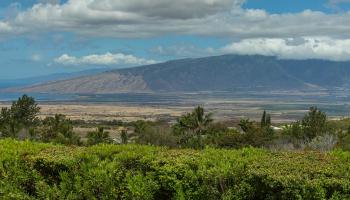 1195  Omaopio Rd Lower Kula, Kula/Ulupalakua/Kanaio home - photo 3 of 50