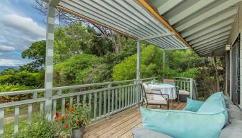 1195  Omaopio Rd Lower Kula, Kula/Ulupalakua/Kanaio home - photo 5 of 27