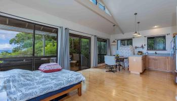 1195  Omaopio Rd Lower Kula, Kula/Ulupalakua/Kanaio home - photo 6 of 27