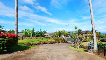 12  Orchid Pl Kahana Ridge, Napili/Kahana/Honokowai home - photo 6 of 50