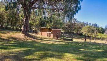 120  Ehu Iki Pl Upper Piiholo, Makawao/Olinda/Haliimaile home - photo 2 of 23