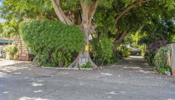 120  Eleu Pl Waiohuli Ahupua`a, Kihei home - photo 2 of 19