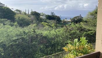 Napili Ridge condo # E13, Lahaina, Hawaii - photo 2 of 12