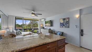 Napili Ridge condo # G16, Lahaina, Hawaii - photo 5 of 24