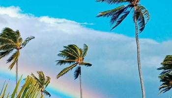 Napili Ridge condo # I16, Lahaina, Hawaii - photo 1 of 32