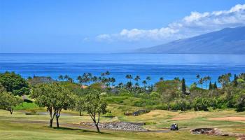 1200  Summer Rd Kapalua Resort, Kapalua home - photo 3 of 30
