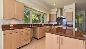 1200  Summer Rd Kapalua Resort, Kapalua home - photo 5 of 30