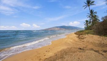 1210  Uluniu Rd Waiohuli-keokea Beach Lts, Kihei home - photo 6 of 50