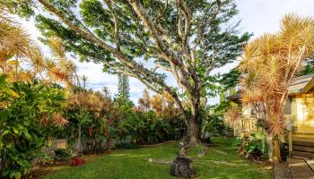 1220  Kuiaha Rd , Haiku home - photo 6 of 48