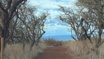 125 Ahiu Rd  Maunaloa, Hi vacant land for sale - photo 1 of 12