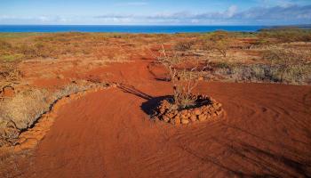 125 Ahiu Rd  Maunaloa, Hi vacant land for sale - photo 6 of 8