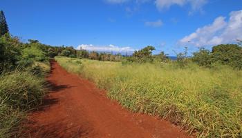 125  Ala Hoku Pl , Napili/Kahana/Honokowai home - photo 3 of 30