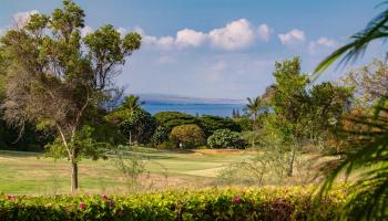 Hokulani Golf Villas condo # 18, Kihei, Hawaii - photo 1 of 37