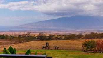 126  Hoomaikai Pl Omaopio, Kula/Ulupalakua/Kanaio home - photo 6 of 50