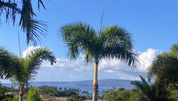 126  Ponana St South Maui, Kihei home - photo 6 of 50
