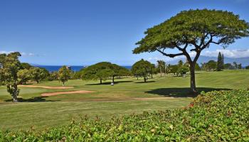 Vintage at Kaanapali condo # 128, Lahaina, Hawaii - photo 3 of 46