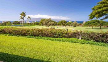 Vintage at Kaanapali condo # 28, Lahaina, Hawaii - photo 1 of 30