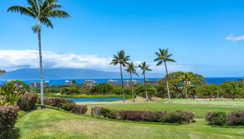 Vintage at Kaanapali condo # 32, Lahaina, Hawaii - photo 2 of 50