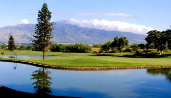 Hokulani Golf Villas condo # 102, Kihei, Hawaii - photo 2 of 4