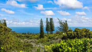 1330  Kauhikoa Rd ,  home - photo 1 of 1