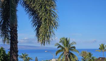 134  Pihaa St Kaanapali, Kaanapali home - photo 4 of 4