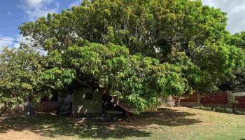 135  Lehua St , Kahului home - photo 2 of 4