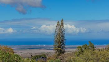 1350  Naalae Rd Lower Kula, Kula/Ulupalakua/Kanaio home - photo 4 of 50