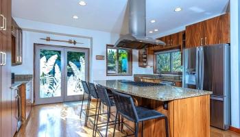 1350  Naalae Rd Lower Kula, Kula/Ulupalakua/Kanaio home - photo 4 of 50