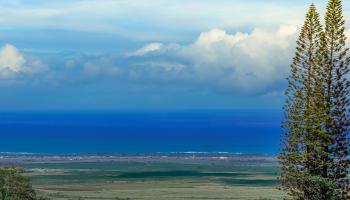 1350  Naalae Rd Lower Kula, Kula/Ulupalakua/Kanaio home - photo 6 of 50