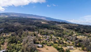 1365  Piiholo Rd , Makawao/Olinda/Haliimaile home - photo 2 of 39
