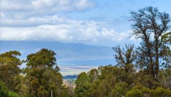 1365  Piiholo Rd , Makawao/Olinda/Haliimaile home - photo 3 of 39