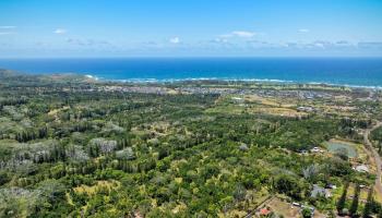 1368 Malaihi Pl   - photo 2 of 14