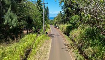 1368 Malaihi Pl   - photo 6 of 14