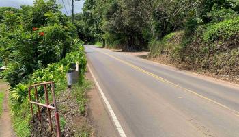 13895  Hana Hwy , Keanae home - photo 3 of 23