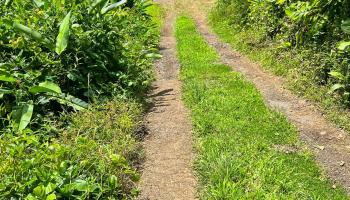 13895  Hana Hwy , Keanae home - photo 4 of 23