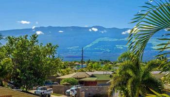 139  Kauhaa St Meadowlands, Kihei home - photo 3 of 18