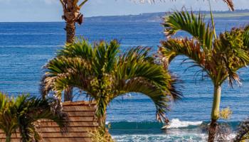 1395  Hiahia St , Wailuku home - photo 2 of 50