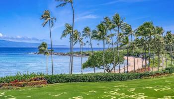 Coconut Grove condo # D14, Lahaina, Hawaii - photo 2 of 30