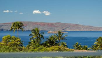 14  Halapa Pl , Wailea/Makena home - photo 5 of 50