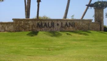 14  Hoowehi Pl , Kahului home - photo 2 of 27