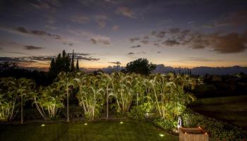 14  Ka Dr Kula, Kula/Ulupalakua/Kanaio home - photo 3 of 50