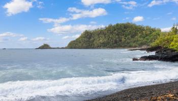 140  Waikoloa Rd , Hana home - photo 4 of 41