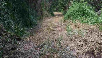 1400 malaihi Rd  Wailuku, Hi vacant land for sale - photo 5 of 10