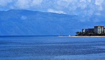 Lahaina Roads condo # 308, Lahaina, Hawaii - photo 4 of 35