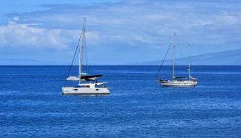 Lahaina Roads condo # 308, Lahaina, Hawaii - photo 5 of 35