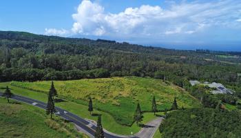 142 Keoawa St Lot 25 Lahaina, Hi vacant land for sale - photo 5 of 15