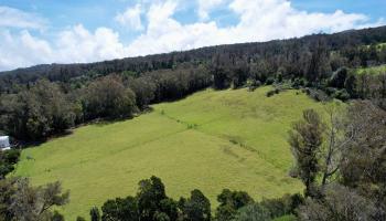 1423  Olinda Rd , Makawao/Olinda/Haliimaile home - photo 2 of 50